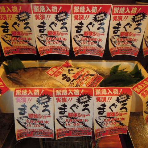 実演★マグロ解体ショー