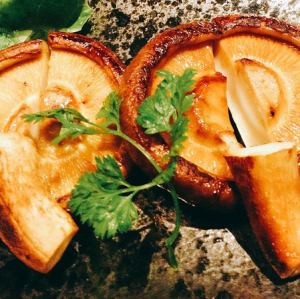 大統領しいたけ