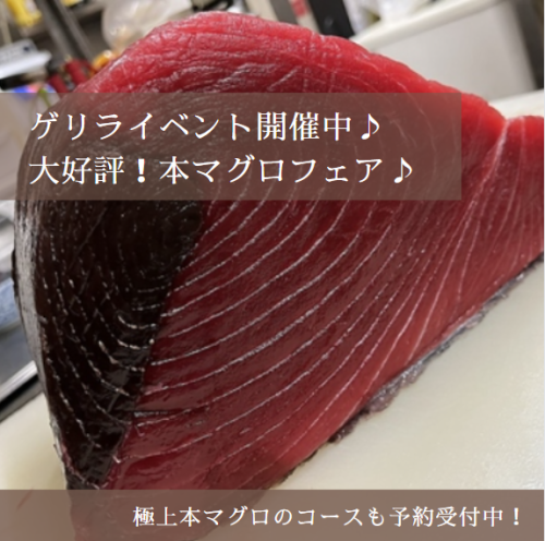 大好評♪たすきの本マグロ♪マグロ専門卸(株)魚有直送♪