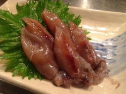 Firefly squid sashimi