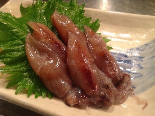 Firefly squid sashimi