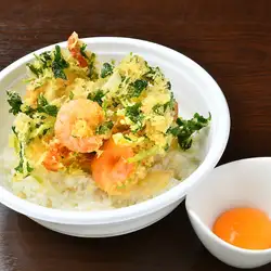 白天婦羅什錦飯
