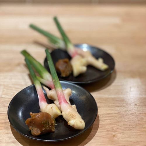 葉生姜と激辛青唐辛子味噌