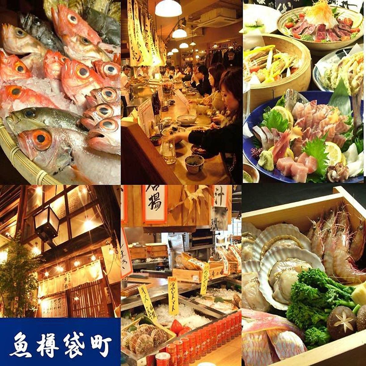 近海で獲れる厳選鮮魚を一番美味しい食べ方で！刺身、炭焼き、煮、揚色々♪