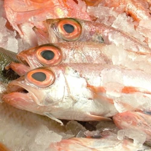 浜田産のどぐろ 
