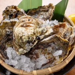 Steamed oyster with shell (1 piece)