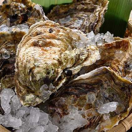 観光のお食事にも!