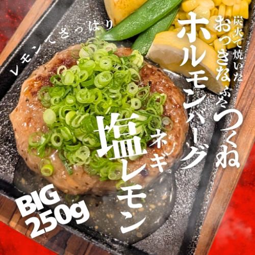 호르몬 버그파 소금 레몬