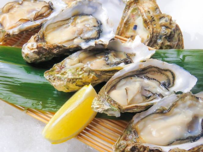 【Drink Included】 Mesa Oyster Course 【120 minutes】