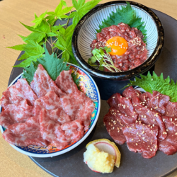 Assortment of 3 types of horse meat sashimi (lean meat, yukhoe, marbled meat)