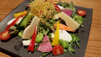 Seasonal vegetable salad made with fresh vegetables