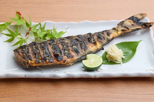 Atka mackerel