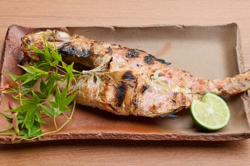 Overnight dried kinmedai snapper
