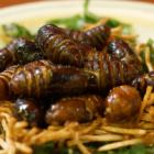 蚕のさなぎの揚げ物