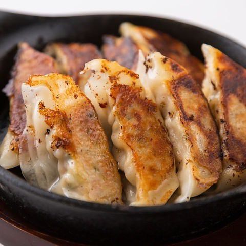 Charcoal-grilled chicken gyoza