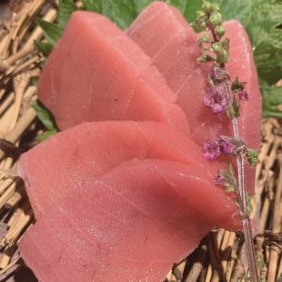 【單品】藍鰭鮪魚
