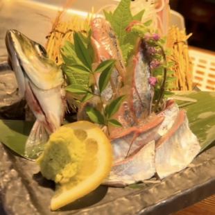 活竹莢魚生魚片