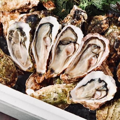 【赤字覚悟】曜日限定！1日5組様！！【牡蠣食べ放題コース】お料理5品付き