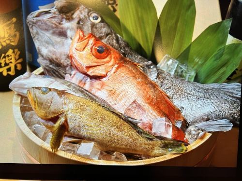 奥能登の直送鮮魚を職人の技で味わう鮨