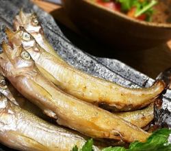 本ししゃも＆樺太ししゃも食べ比べ