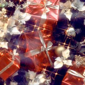 聖誕特餐【A5級特級日本黑毛牛柳】