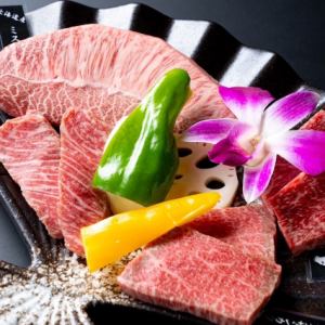 四种肩肉组合