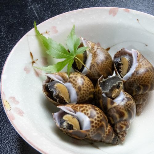 目利きが仕入れる魚貝！