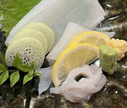 トロサーモン刺身/マグロ刺身/イカ刺身