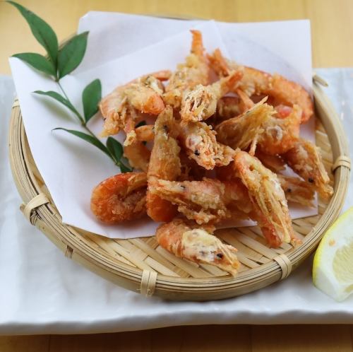 川海老唐揚げ/若鶏天ぷら/イカ団子/大判アジフライ/豚バラ串カツ/白身梅肉天ぷら/ドロメかき揚げ