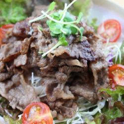 海鮮サラダ/和牛焼肉サラダ