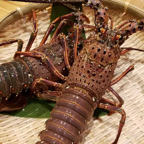 Whole spiny lobster sashimi (100g)