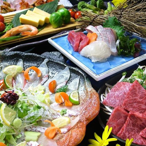 [Musashi Recommended Course] 4 types of sashimi, tonteki, grilled scallops with shell and mayonnaise - 8 dishes total 4,000 yen, 120 minutes all-you-can-drink included