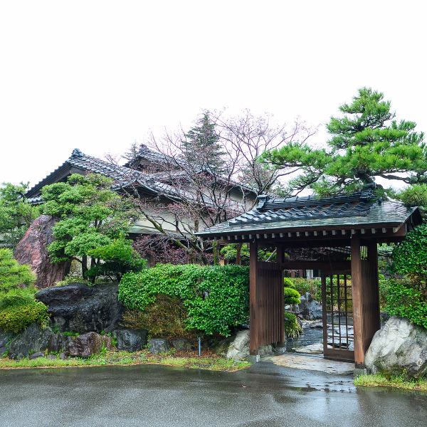 立派な門をくぐると、手入れの行き届いた庭園と重厚な和建築が、訪れるお客様を温かくお迎えします。雨に濡れて艶を増す緑や、季節ごとに表情を変える木々に囲まれた空間は、まるで日常の喧騒を忘れさせてくれる隠れ家のよう。歴史を感じる落ち着いた雰囲気の中で、当店の料理と、ゆるやかに流れる時間をお楽しみください。
