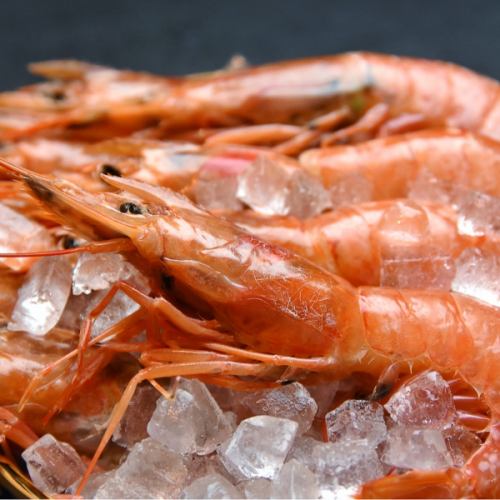 Charcoal-grilled large red shrimp