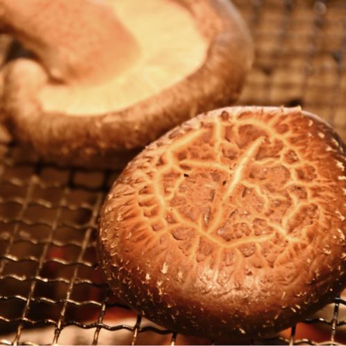 Charcoal-grilled shiitake mushrooms from Kokonoe