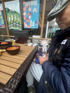 🐶🌿 ペット連れOK！テラス席のご案内 🌿🐶