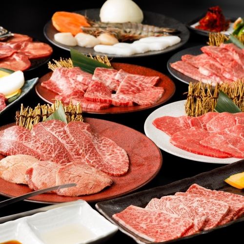 カルビ、ハラミ、ロースなどの人気お肉が楽しめる「ルーコース」。もちろん飲み放題付き★