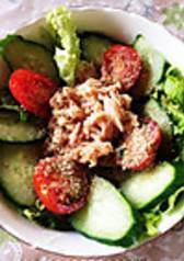 Tomato and cucumber tuna salad