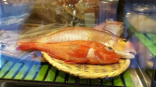 鮮度抜群の魚をご用意！