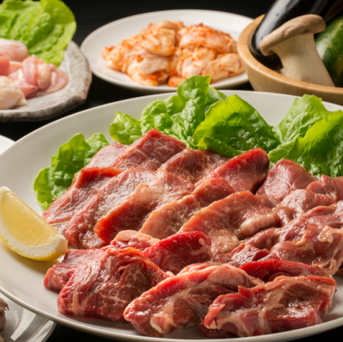 【当日OK！】ホルモンと焼肉の宴会コース♪