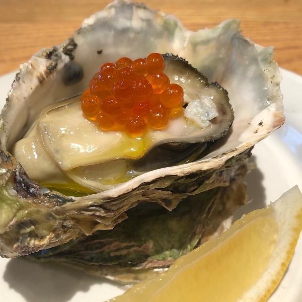 Cold steamed oysters and salmon roe