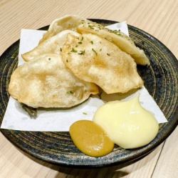 Crispy fried dumplings