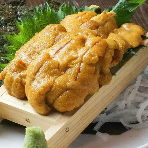 【限定５食】板うに