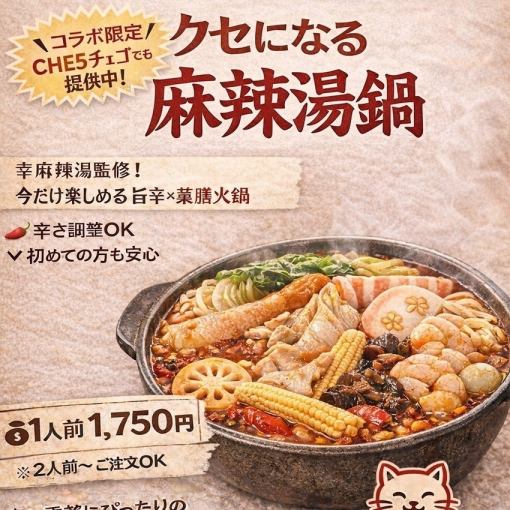 【期間限定コラボ】寒い季節にぴったり!麻辣湯鍋コース♪全6品4500円(税込)