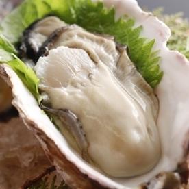 的矢かき（岩かき） （1個）※夏季限定