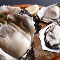 생굴 먹어 비교 (적 화살 · 이세 시마 프리미엄 굴)