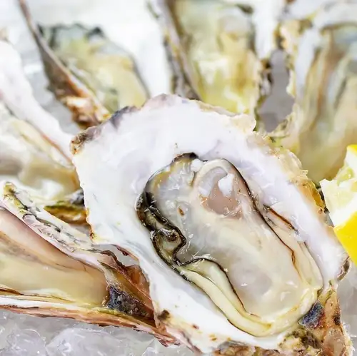 [Specialty] Fresh Oyster (1 piece)