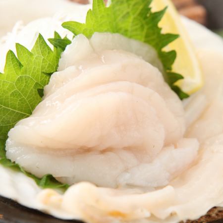 Sashimi of scallops