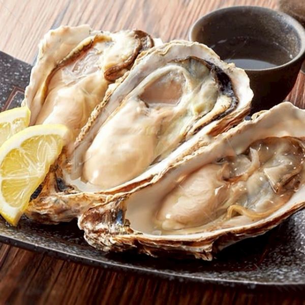 【豊洲直送海鮮】新鮮な海鮮を毎朝仕入れ!