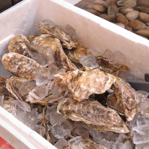 All-you-can-eat fresh oysters from our popular menu